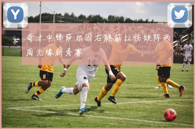奇才中锋萨尔因右腿筋拉伤缺阵两周无缘新秀赛